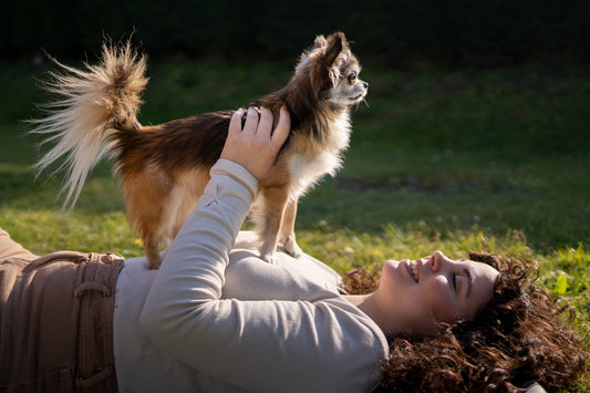 Natural Ways to Help Soothe Your Dog’s Anxiety