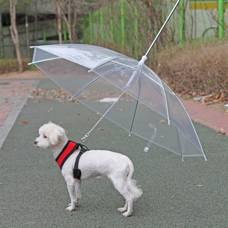 Rainproof Pet Umbrella Leash