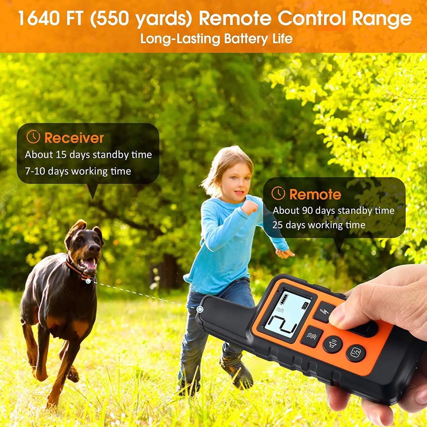 Rechargeable Waterproof Training Collar