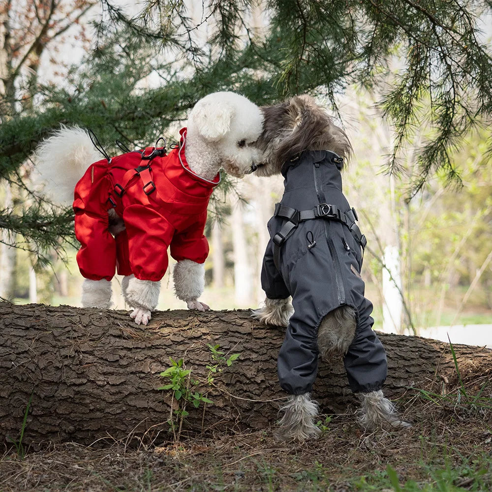 Waterproof Raincoat with Harness