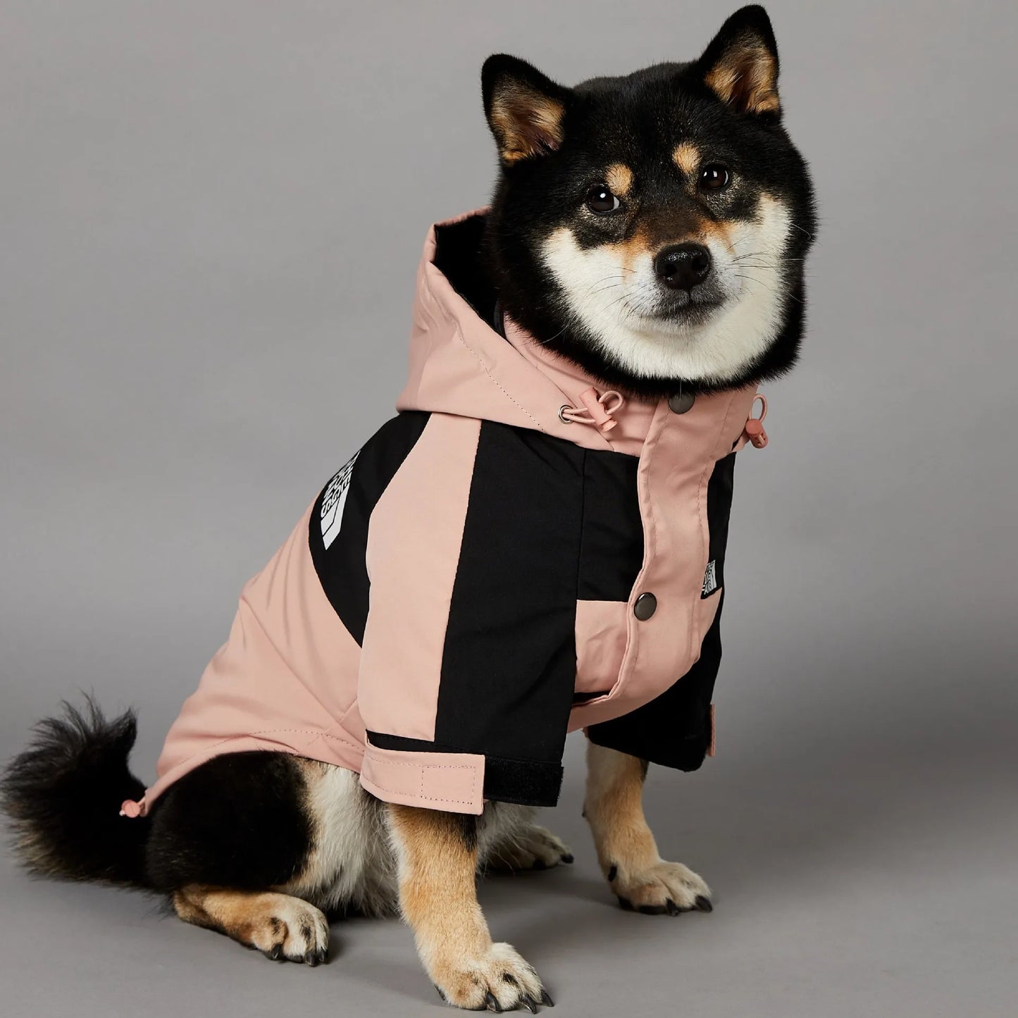 Waterproof Raincoat – Windbreaker Jacket