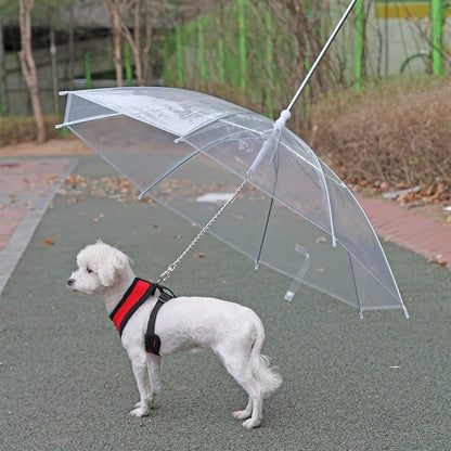 Rainproof Pet Umbrella Leash