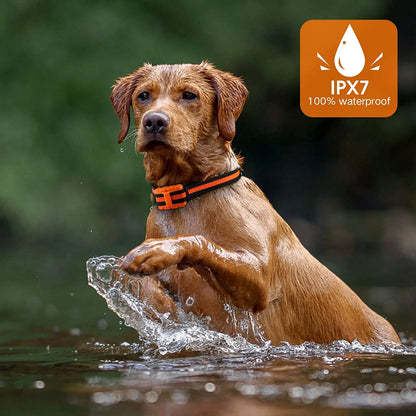 Rechargeable Waterproof Training Collar