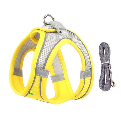 Adjustable Nylon Harness Leash Set