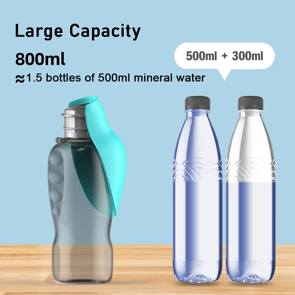 Foldable 800ml Water Bottle