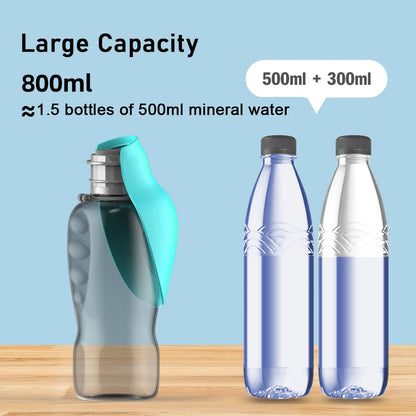 Foldable 800ml Water Bottle