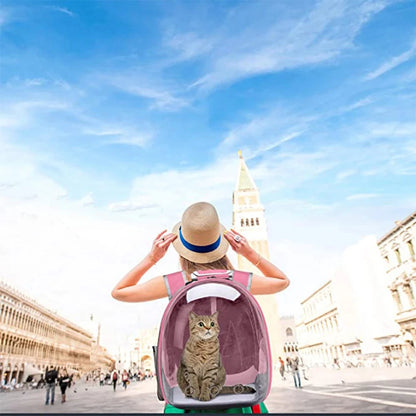 Transparent Pet Carrier Backpack