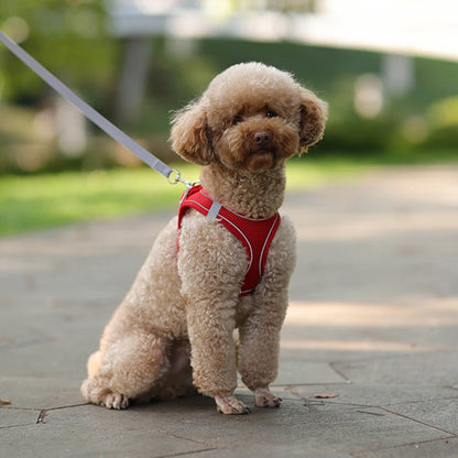 Adjustable Nylon Harness Leash Set