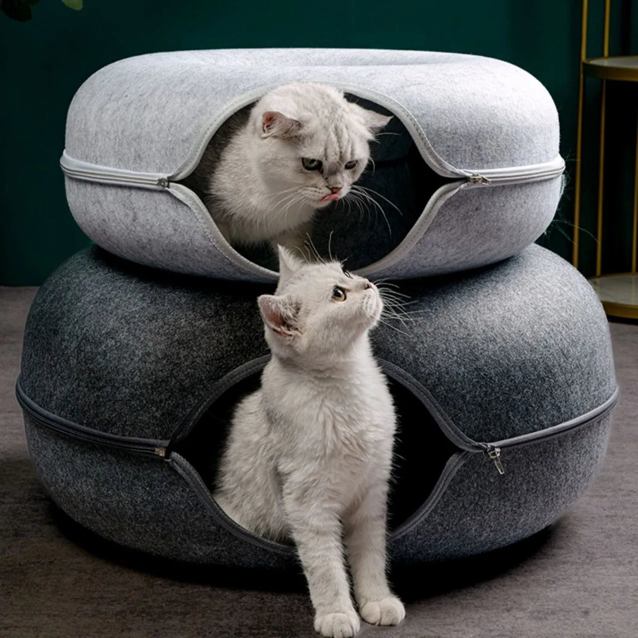 Interactive Tunnel Indoor Felt Cat House