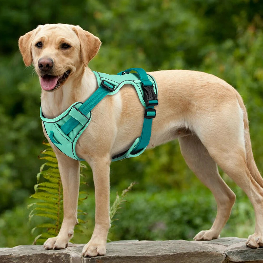 Reflective Breathable Nylon Harness