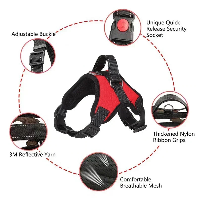 Adjustable Reflective No-Pull Harness