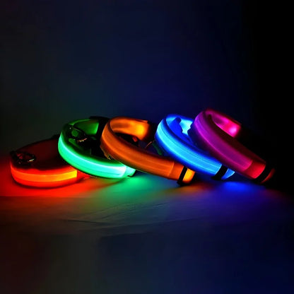 Nylon LED Collar