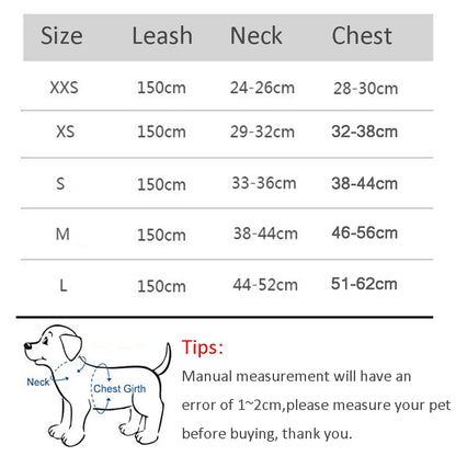 Adjustable Nylon Harness Leash Set