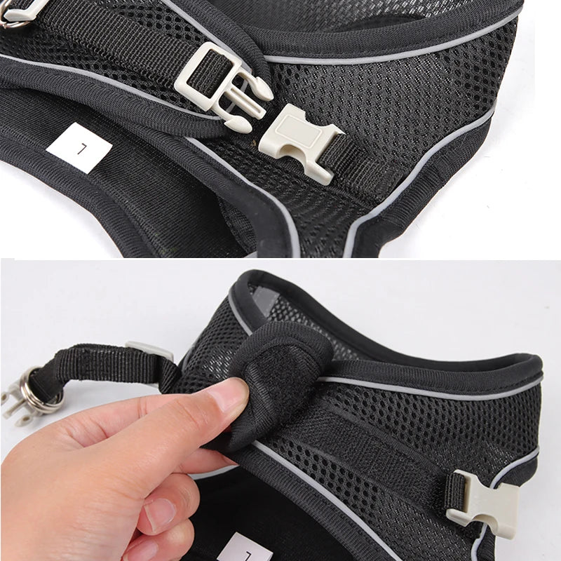 Adjustable Nylon Harness Leash Set