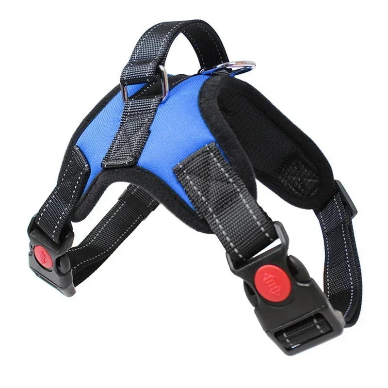 Adjustable Reflective No-Pull Harness