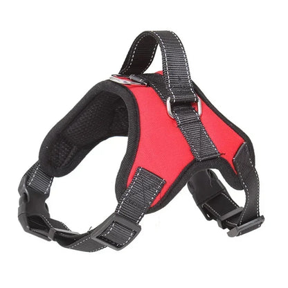 Adjustable Reflective No-Pull Harness