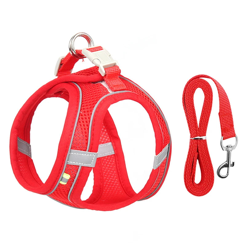 Adjustable Nylon Harness Leash Set