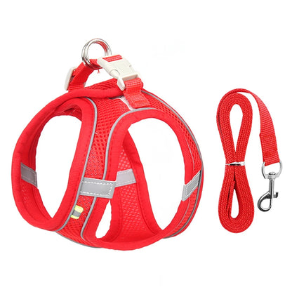 Adjustable Nylon Harness Leash Set