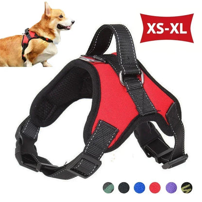 Adjustable Reflective No-Pull Harness