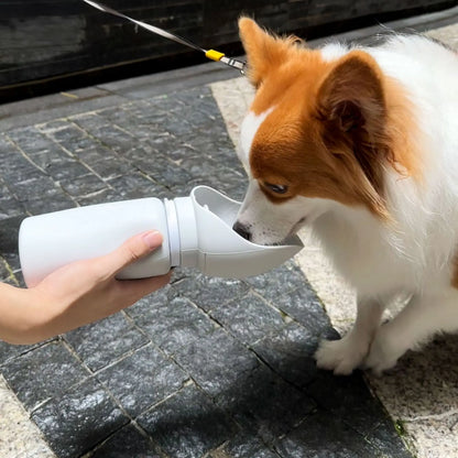 Portable Folding Pet Water Cup