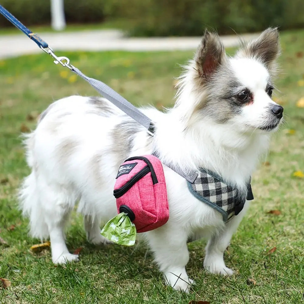 Portable Treat Training Pouch