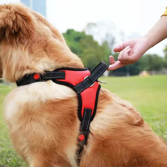 Adjustable Reflective No-Pull Harness