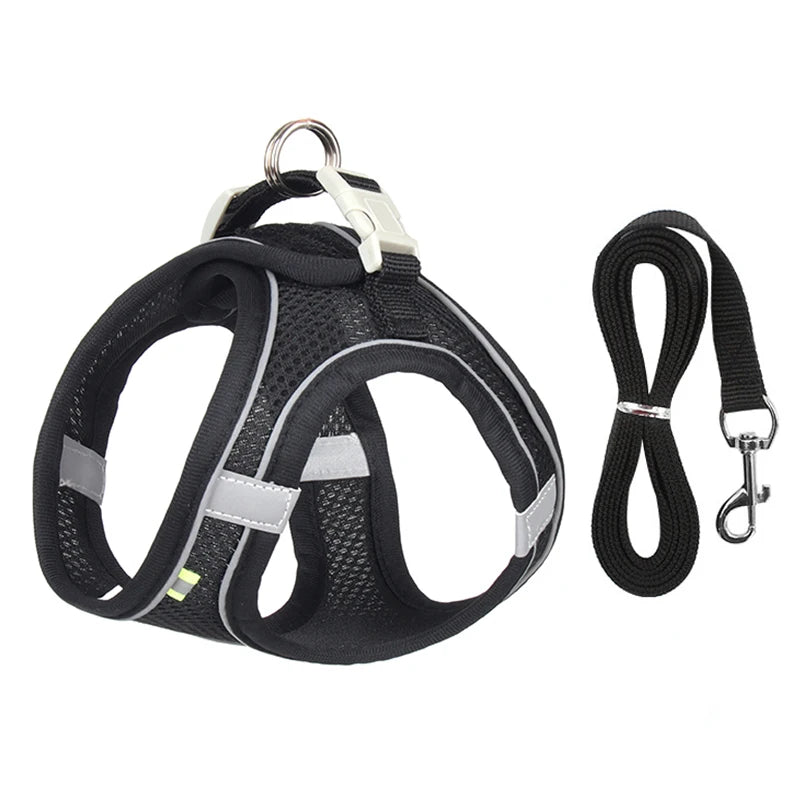 Adjustable Nylon Harness Leash Set
