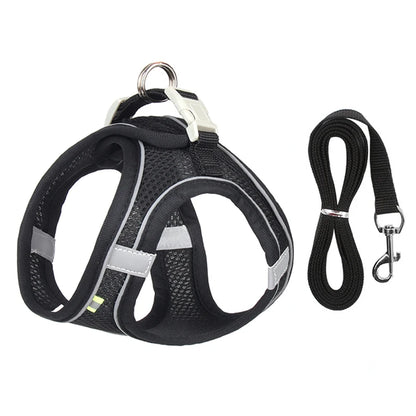 Adjustable Nylon Harness Leash Set