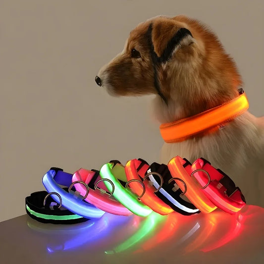 Nylon LED Collar