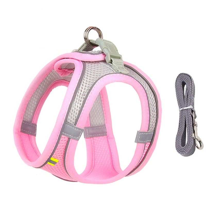 Adjustable Nylon Harness Leash Set
