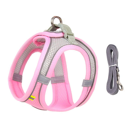 Adjustable Nylon Harness Leash Set