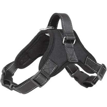 Adjustable Reflective No-Pull Harness