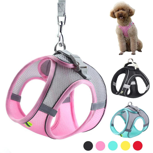 Adjustable Nylon Harness Leash Set