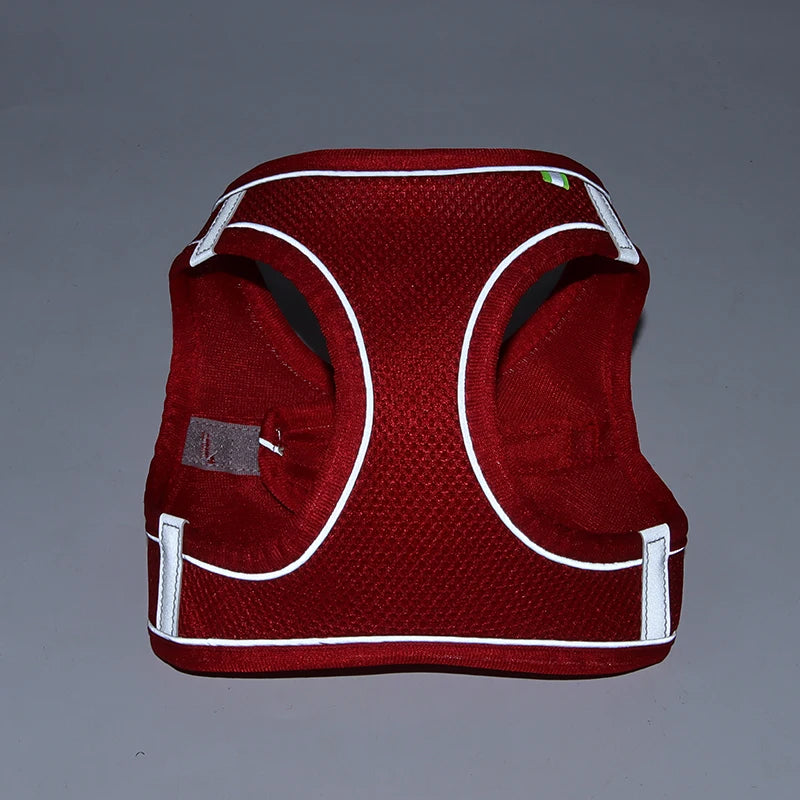Adjustable Nylon Harness Leash Set