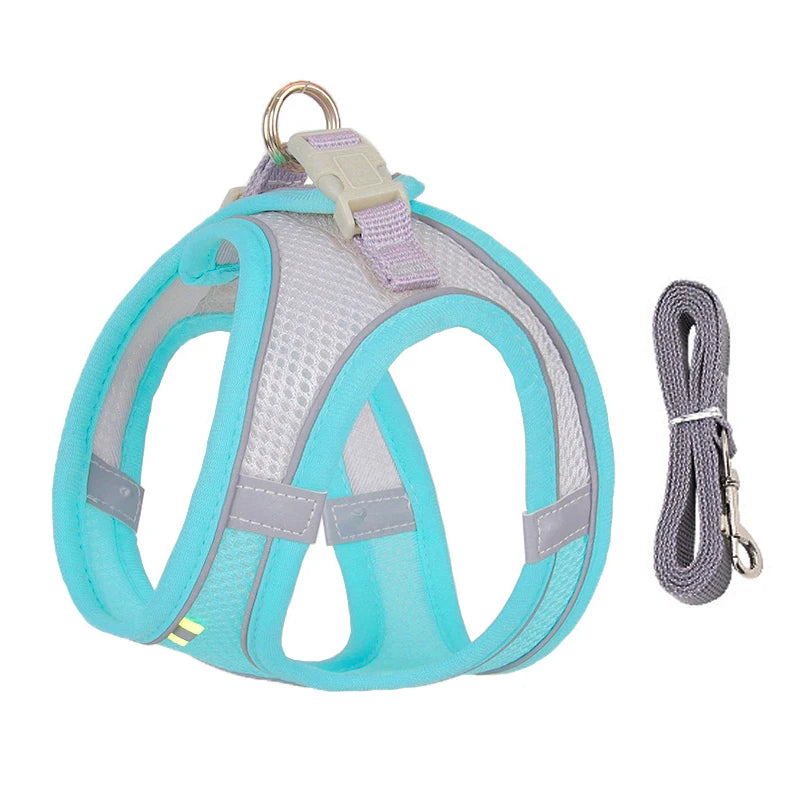 Adjustable Nylon Harness Leash Set