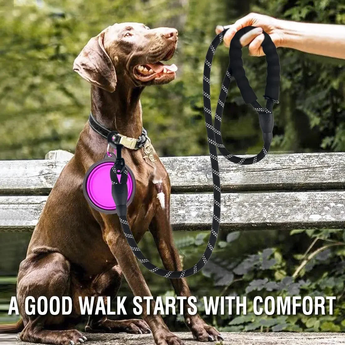Durable Reflective Leash