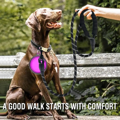 Durable Reflective Leash